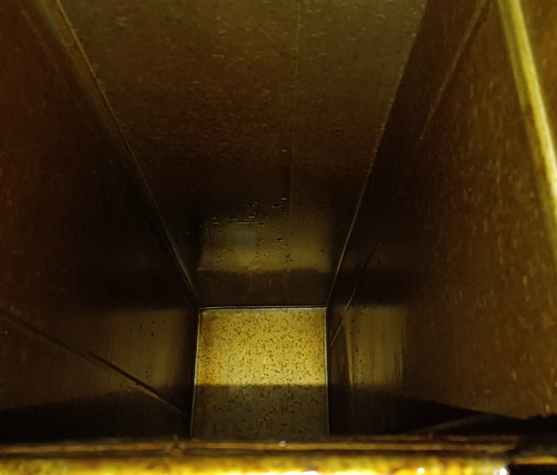 IMG_20220419_201236.jpg